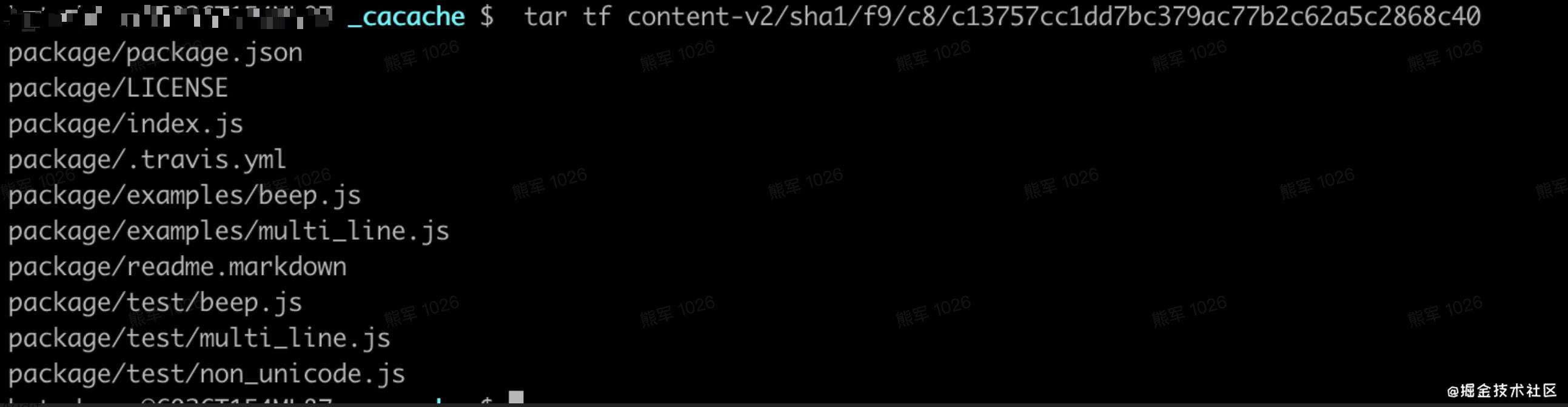 npm install 的玄机